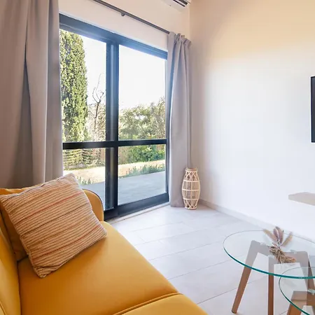 Cygnus - Summertime Stars * Afión