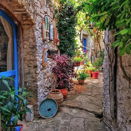 Cygnus - Summertime Stars